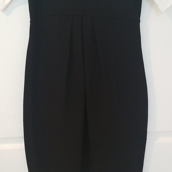 Isabella Oliver Laela Colorblock Maternity Dress - Picture 8 of 9